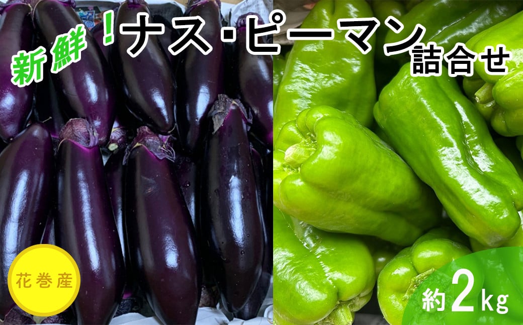 
新鮮野菜 ナス・ピーマン詰合せ 約2kgセット 　【1638】

