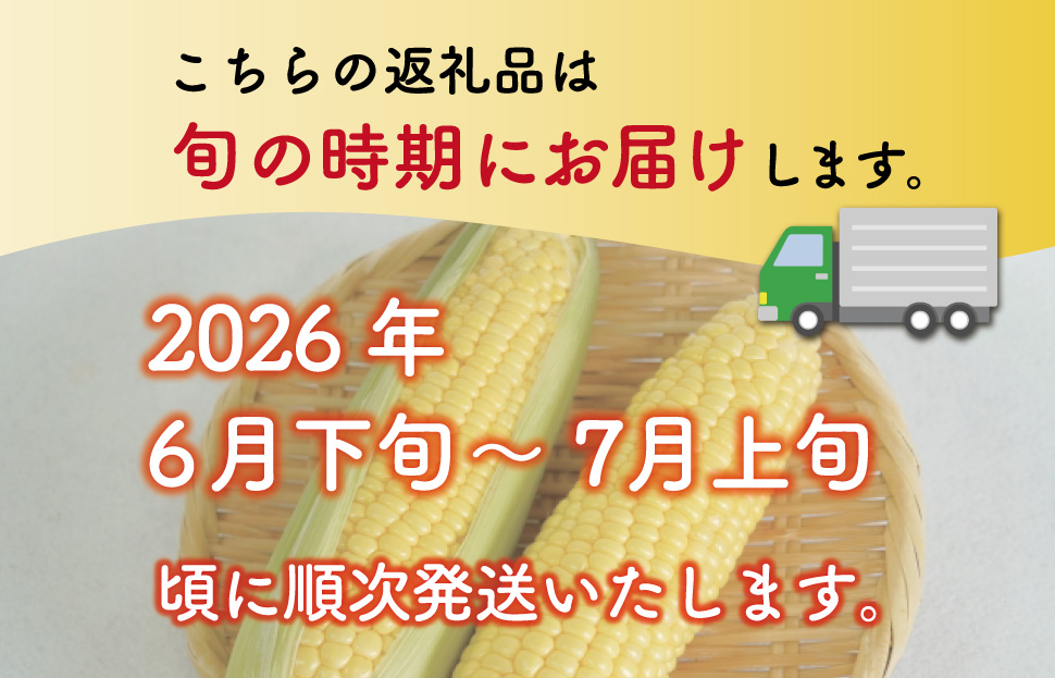 明和町産 朝採れ とうもろこし ゴールドラッシュ 10本～12本 BBQ 人気 トウモロコシ 生 野菜 新鮮 採れたて 産地直送 朝どれ 甘い 期間限定 国産 旬 夏野菜 きたむら