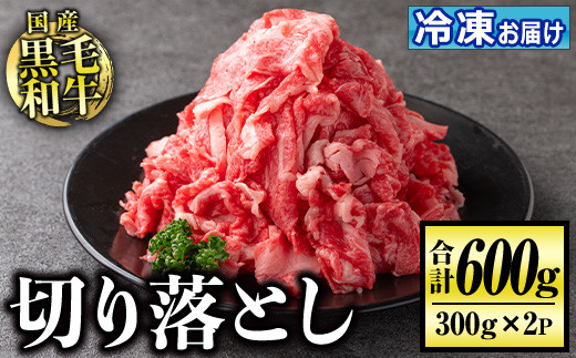 
isa508 国産黒毛和牛 切り落とし(計600g・300g×2P)【お肉の直売所 伊佐店】
