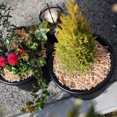 ふるさと納税 佐世保市 長崎ひのきでつくったウッドチップ(30L) |  | 02