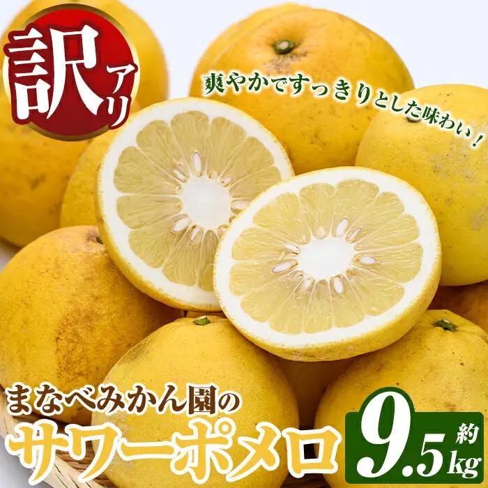 ＜先行予約受付中！2027年2月下旬以降順次発送予定＞訳あり！まなべみかん園のサワーポメロ (約9.5kg) 国産 鹿児島県産 阿久根市産 柑橘類 みかん ミカン 蜜柑 果物 フルーツ サワーポメロ 数量限定 デザート 訳アリ 【有限会社まなべみかん園】akn034-08