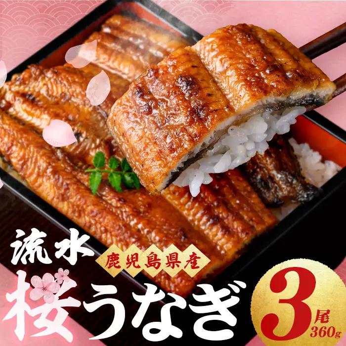【丑の日までに配送】柳澤 流水桜 うなぎ 蒲焼き 計3尾＜計360g＞ a4-096-us