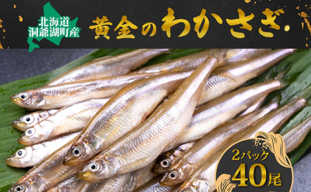 洞爺湖町産 黄金のわかさぎ 18尾×2P 計36尾 北海道産 ワカサギ わかさぎ 川魚 魚介類 産地直送 冷凍 お取り寄せ グルメ 料理 天ぷら フライ とうやマルシェ 北海道 洞爺湖町