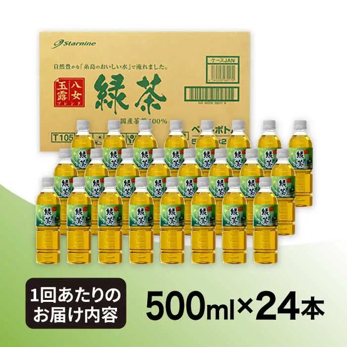 【全6回定期便】八女 玉露入り 緑茶 500ml × 24本  糸島市 / スターナイン お茶 ペットボトル [ARM016]