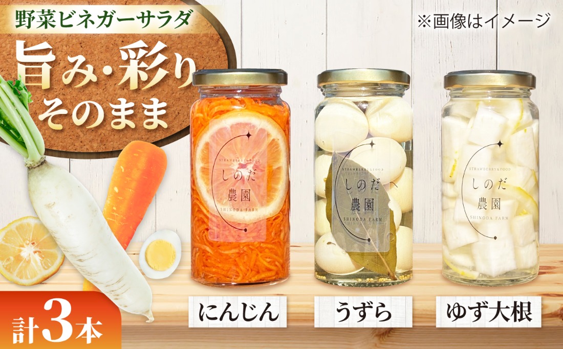野菜ビネガーサラダ 3本（うずら・ゆず大根・にんじん） ビネガーサラダ 常備菜 おかず 愛西市 / しのだ農園-SHINODA FARM-[AECE010]