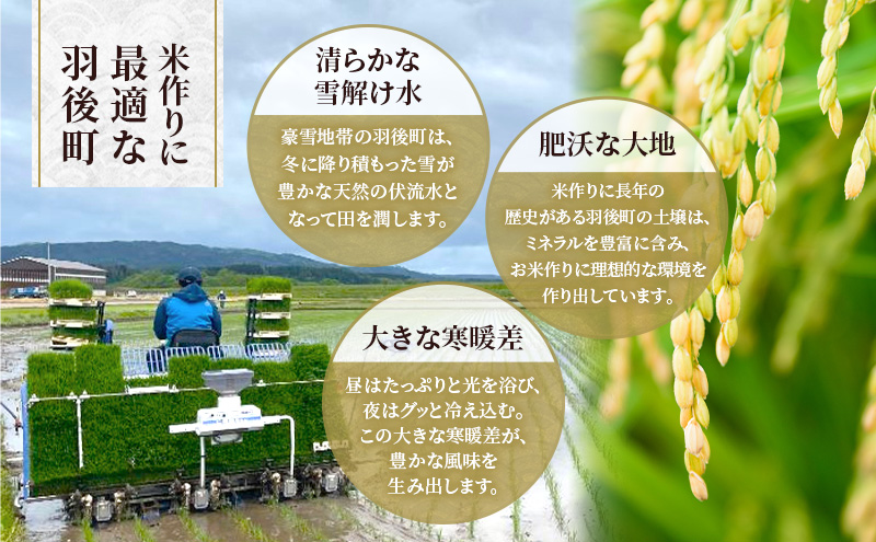 新米 先行予約［令和8年産］定期便 秋田県産 あきたこまち 15kg (5kg×3袋) 全6回 毎月お届け 羽後町産 [藤原商店]【米 お米 白米 精米 あきたこまち アキタコマチ 美味しい 秋田 羽
