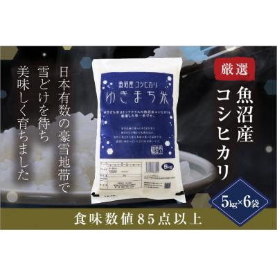ふるさと納税 十日町市 ゆきまち米 30kg(5kg×6)〈厳選された新潟県魚沼産コシヒカリ〉令和8年産米