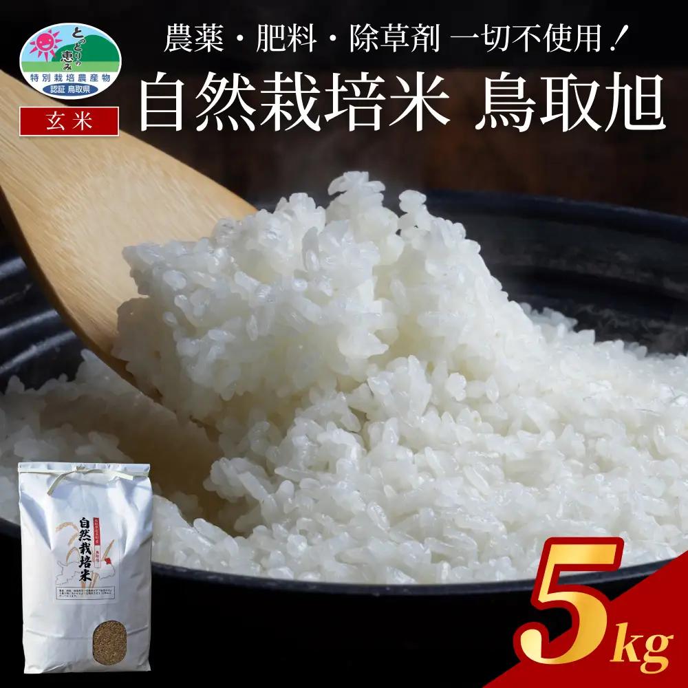 【2026新米先行予約】自然栽培米 鳥取旭（玄米）5kg 令和8年産｜鳥取 岩美 岩美町産 お米 こめ 玄米 無農薬 無肥料 【31024】