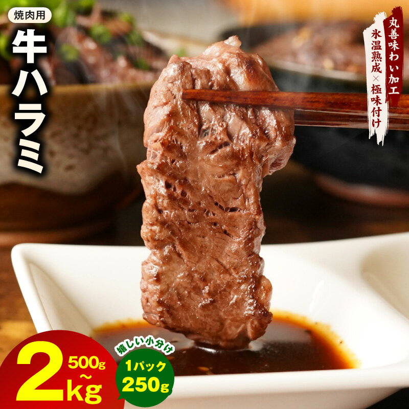 【ふるさと納税】牛肉 ハラミ 500g / 750g / 1kg / 1.5kg / 2kg 【氷温熟成×極味付け】小分け 焼肉 バーベキュー BBQ 味付け 肉 塩麹 冷凍 丸善味わい加工 氷温熟成牛 牛肉 熟成肉 ふるさと納税オリジナル 限定 発送月 大阪府 泉佐野市 送料無料 肉の泉佐野 圧倒的企業努力