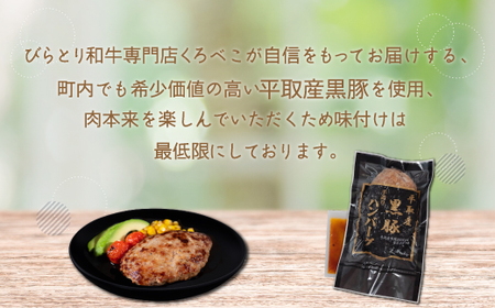 平取産黒豚ハンバーグ180ｇ6枚　オリジナルソース付 BRTB029