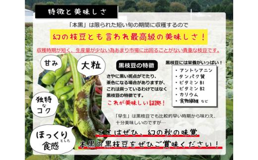 丹波黒枝豆〈本黒〉畑から直送 200年続く農家 丹波小林屋 低農薬栽培 幻の枝豆 兵庫県丹波市産