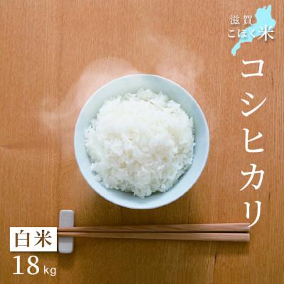ふるさと納税 長浜市 令和6年産 滋賀県湖北産 湖北のコシヒカリ　白米　18kg　【食味最高ランク特A 3年連続受賞】