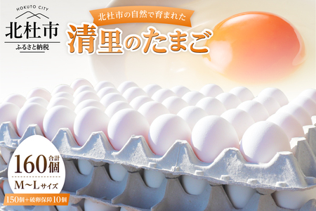 ハイチック 清里のたまご 160個（破卵保証10個含む）