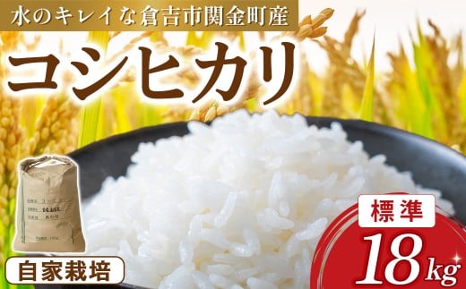 コシヒカリ 18kg（標準）令和7年産 新米 お米 米 こめ コメ こしひかり コシヒカリ ご飯 ごはん 鳥取県 倉吉市産