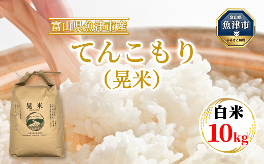 【令和6年度米】環境配慮「魚津のてんこもり（晃米）」10kg（白米） ｜ MK農産 白米 銘柄米 ご飯 おにぎり お弁当 和食 主食 国産 産地直送 甘み 香り もちもち ※2024年10月下旬頃より順次発送予定 ※北海道・沖縄・離島への配送不可