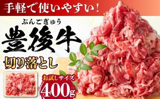 【お試しにピッタリ！】 おおいた豊後牛 牛肉 切り落とし 400g 日田市 / 株式会社MEAT PLUS　肉 牛肉 和牛 [AREI001]