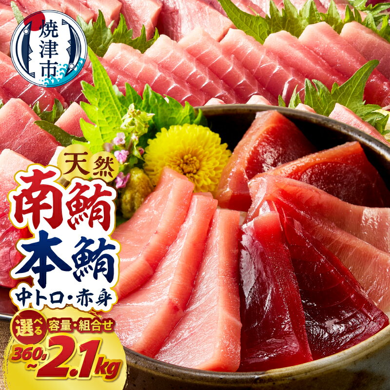 【ふるさと納税】 《 レビューキャンペーン 》 【選べるお届け時期/種類】 訳あり 正規品 南鮪 本鮪 本マグロ まぐろ マグロ 鮪 刺身 赤身 中トロ 天然 切り落とし 大容量 約700g 約1.4kg 約2.1kg 食べ比べ セット 柵 贅沢 360g 540g 選べるお届け月 魚 冷凍 人気 a10-1000