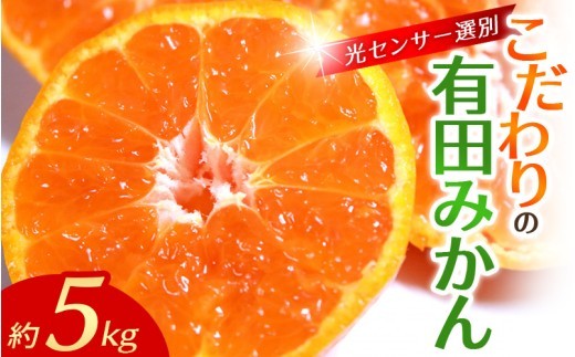 
                  訳あり 有田みかん 5kg 家庭用 選べる配送月
                
