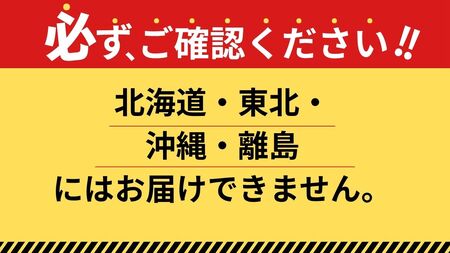 【12月18日まで受付】大垣フォーラムホテル　特選おせち和洋中　三段重【数量限定】