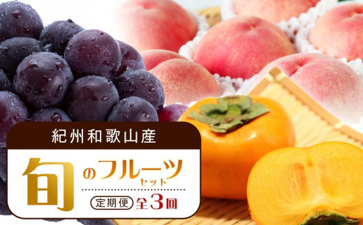 
            【7・8・10月 全3回】紀州和歌山産旬のフルーツセット（桃・ピオーネ・ひらたねなし柿）定期便 【魚鶴商店】【UT67】
          