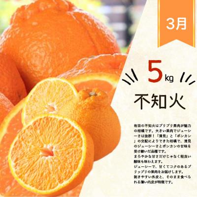 ふるさと納税 印南町 【発送月固定定期便】紀州和歌山産旬のフルーツセット(田村みかん・はるみ・不知火)全3回 |  | 03