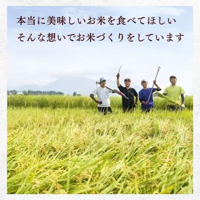 ふるさと納税 _飯山市 【令和7年産】瑞穂 豊米(ゆたかまい) こしひかり  精米 20kg(5kg×4袋) |  | 02