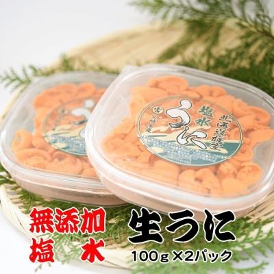 ふるさと納税 根室市 ウニ塩水パック100g×2P F-65002