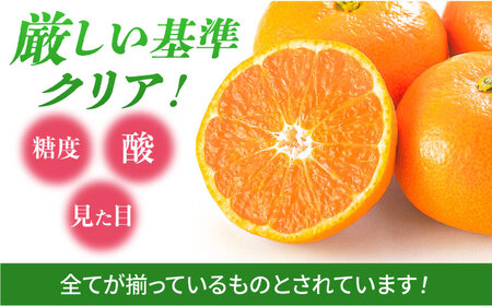 【厳しい基準をクリアしたみかん】 佐賀みかん （さが美人）5kg 【JAさが 杵島支所】[HAM086] みかん 佐賀 温州みかん さがみかん ミカン 蜜柑