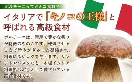 冷凍スープ ポルチーニクリームスープ 160g×8個  | ポルチーニ きのこ スープ  茨城県 龍ケ崎市