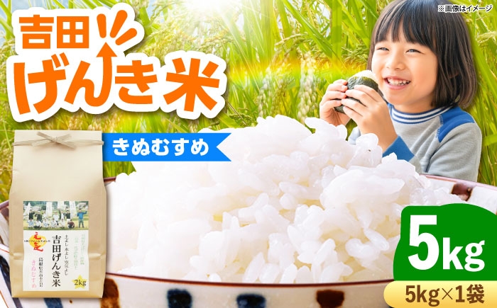 
                  【令和8年産 新米 先行予約】きぬむすめ 5kg （5kg×1袋）吉田げんき米 島根県雲南市産 特A評価実績 米 お米 白米 精米 新米きぬむすめ きぬ娘 きぬむすめ5kg 米5kg お米5kg 5キロ 国産米 島根県産米 【2026年9月下旬以降順次発送】 [AIDB129-r8]
                