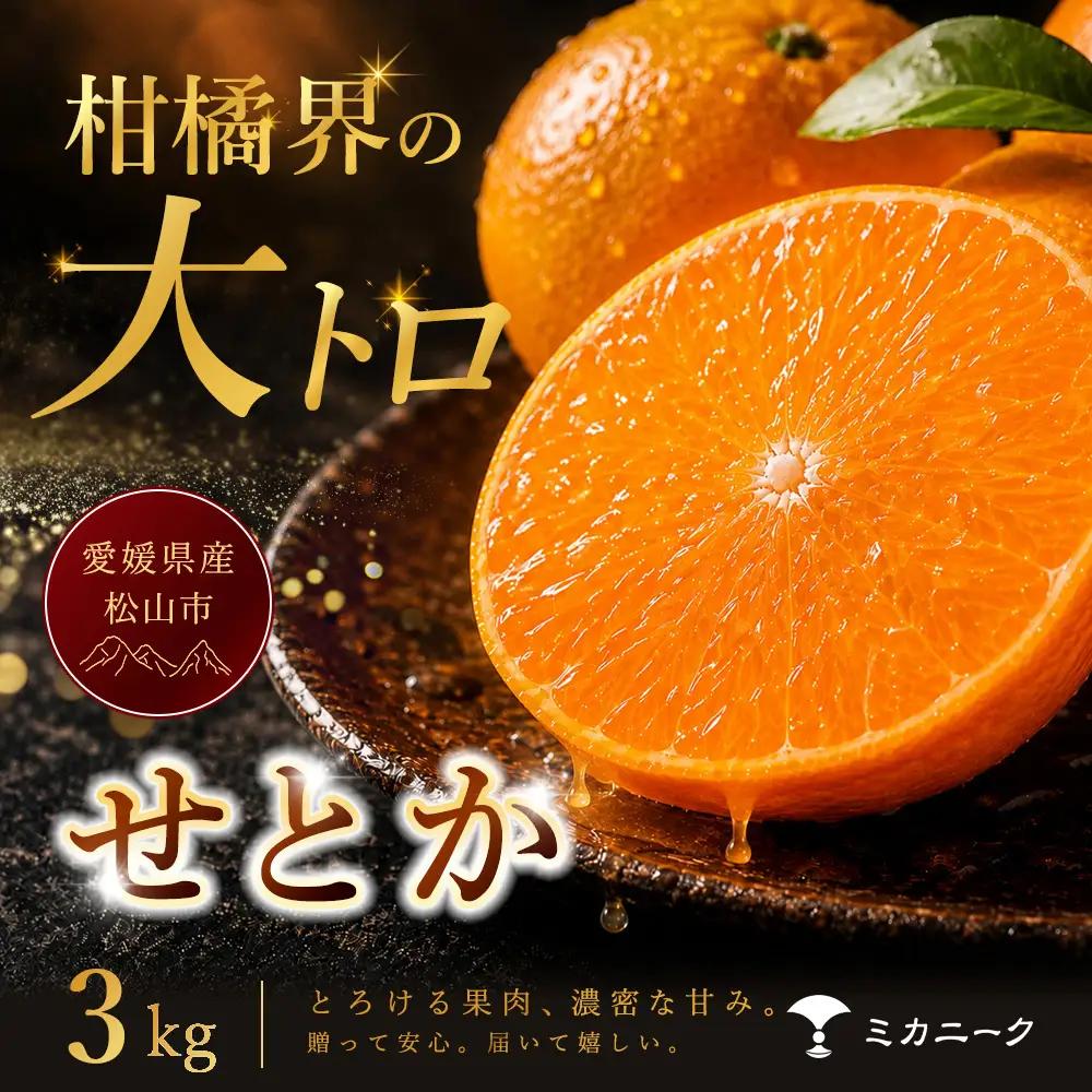 せとか 家庭用 3kg 【2027年2月中旬頃から順次発送】 | みかん ミカン mikan 蜜柑 訳ありフルーツ 柑橘 果物 おすすめ 高級 お勧め 愛媛三大高級柑橘 ( 紅まどんな せとか 甘平 ) お取り寄せ ギフト 愛媛県 松山市 【MKN018】