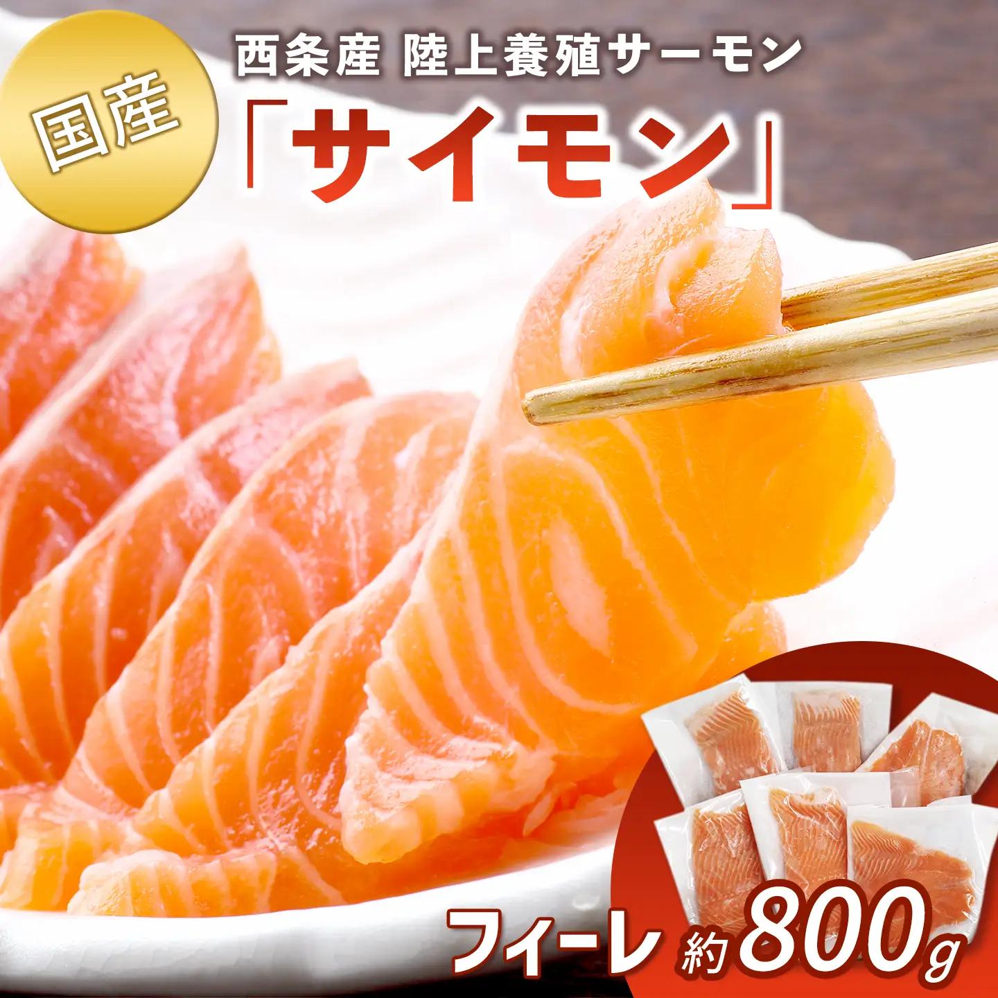 【国産サーモン】西条産陸上養殖サーモン「サイモン」冷凍フィーレ 約800g