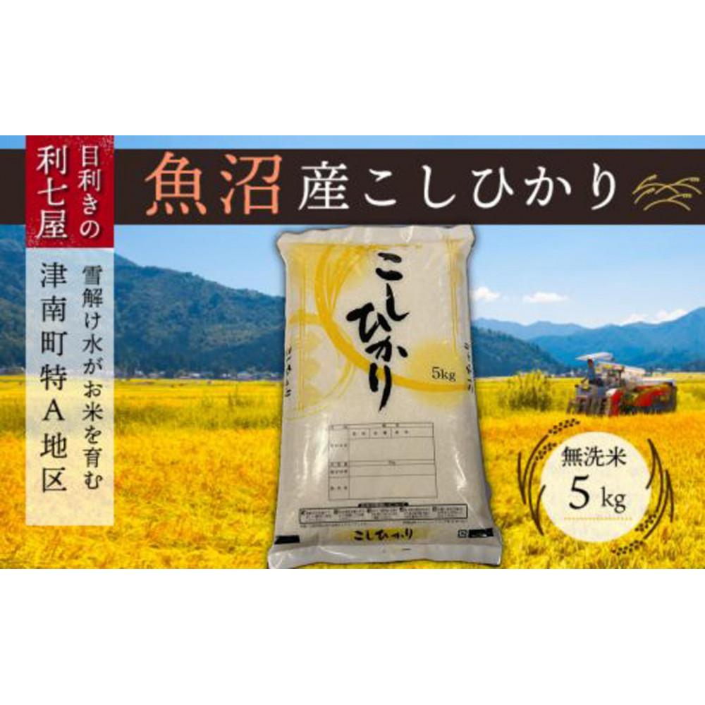 【ふるさと納税】【令和8年産先行予約】【 定期便 12ヶ月 】 無洗米 5kg × 12回 新米 魚沼産 コシヒカリ 津南町特A地区産 | こしひかり お米 おこめ こめ コメ 新潟県 津南町