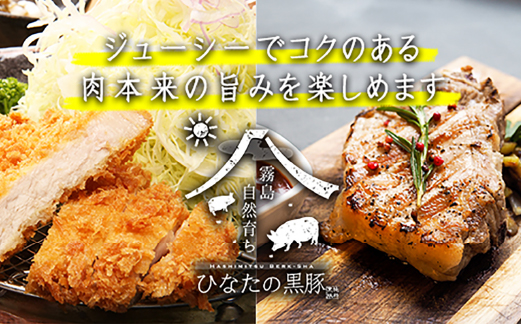【牧場直販】ひなたの黒豚 本ロース詰め合わせ 880g（豚肉 黒豚 豚 しゃぶしゃぶ用 しゃぶしゃぶ とんかつ用 ロース 小分け）