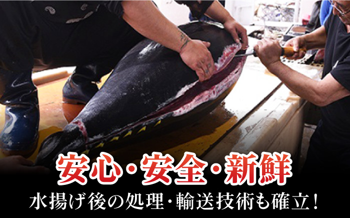 【全6回定期便】本マグロ (養殖) ブロック 詰合せ 計6kg (1kg×6回) 刺身【奥浦海鮮直売所】 [PCL010]