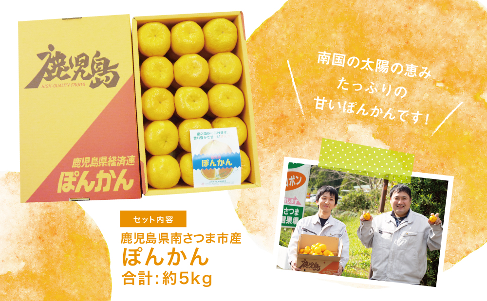【1月発送】数量限定！ 鹿児島県産 ぽんかん 約5kg ポンカン 果物 フルーツ 柑橘 常温 JA 南さつま市