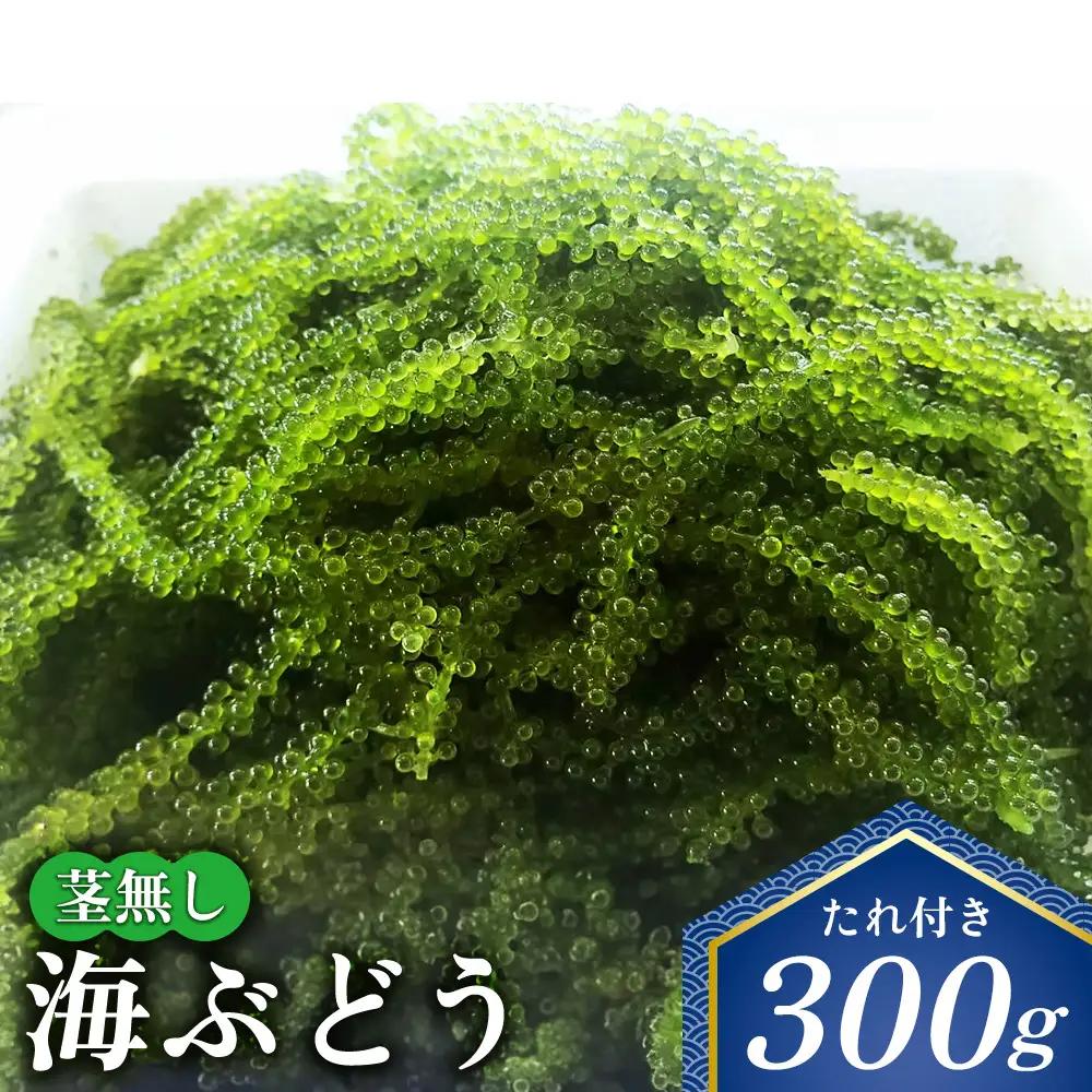 海ぶどう 茎無し海ぶどう 300g（たれ付き）