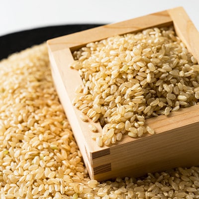 令和8年産　阿曽レンゲ米(きぬむすめ15kg)【玄米】【1757321】