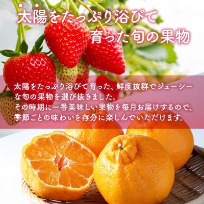 ふるさと納税 吉野ヶ里町 【発送月固定定期便】旬の果物3か月定期便(吉野ヶ里)全3回 |  | 01