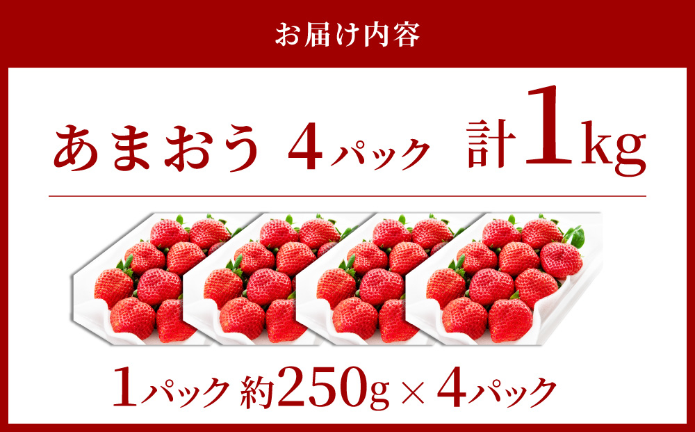 アフター保証対象！【先行予約】福岡産 春 あまおう 4パック（2月上旬より発送）|苺 いちご イチゴ 完熟 あかい まるい おおきい うまい フルーツ 果物 デザート 期間限定 産地直送 冷蔵 お取り寄せ グルメ 送料無料 福岡県 那珂川市