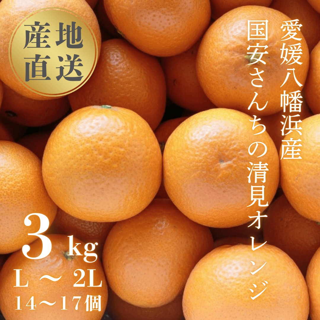 
                  ＜まるで食べるジュース!越冬完熟品＞愛媛産 清見オレンジ 3kg＜C20-39＞【1594850】 YWTI034
                