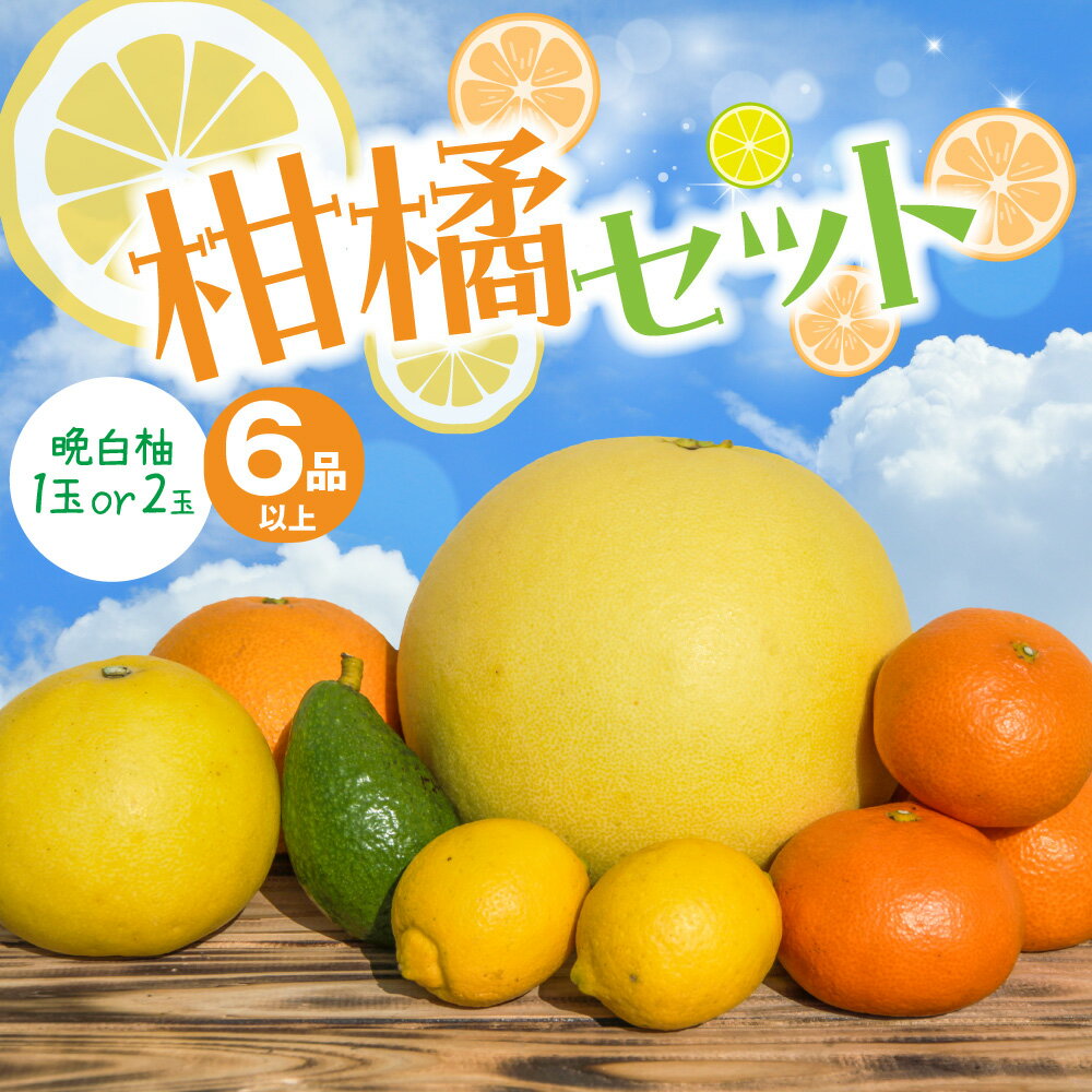 【ふるさと納税】【先行予約】 【晩白柚の玉数が選べる】 柑橘セット 6品以上（晩白柚1～2玉入り） 柑橘 果物 フルーツ 熊本県産 ばんぺいゆ フルーツ 柑橘 特産品 名産品 お取り寄せ ジャンボサイズ 送料無料 【2025年12月上旬より順次発送】