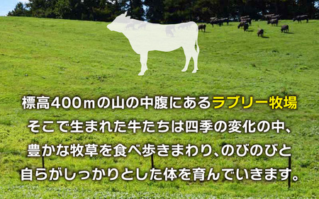 ラブリー牧場 放牧ジャージー牛切り落とし（カタ・バラ）700g×2パック（1.4kg） [A-054007]