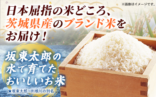新米 先行受付 令和8年産 『こしひかり』『ひとめぼれ』 10kg (各5kg×1袋ずつ) 米 お米 白米 コメ こめ 食べ比べセット コシヒカリ ひとめぼれ 先行予約 2026年 人気 家計応援 単