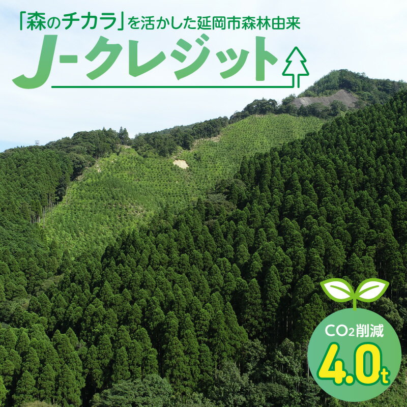 【ふるさと納税】延岡市 森林由来 J-クレジット CO2 削減 4.0t 市有林 間伐 森林整備 森林保全 林業の振興 カーボン ニュートラル 持続可能 森林づくり 環境保全 災害リスク 低減 地球温暖化 抑制 公認 認定証 宮崎県