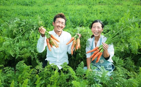 訳あり 規格外 にんじん 約10kg 有機JAS認証取得 栽培期間中農薬 除草剤 化学肥料不使用 野菜 食材 緑黄色野菜 国産野菜 えぐみがない 甘い人参 産地直送 キャロット ベジタブル 