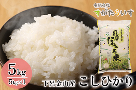 即納【令和7年産米】こしひかり 5kg 米【51-5】