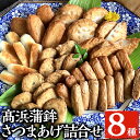 【ふるさと納税】鹿児島昔ながらのさつま揚げ(8種類)詰合せ！(TT-21C) 鹿児島 鹿児島特産 魚 魚介 薩摩揚げ つきあげ 練り物 にら天 ごぼう天 れんこん天 野菜天 おかず 弁当 惣菜 おでん 鍋 冷蔵 贈答 プレゼント【高浜蒲鉾】