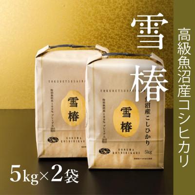 ふるさと納税 津南町 【令和8年産 コシヒカリ 先行予約】高級魚沼産コシヒカリ「雪椿」精米10kg(5kg×2袋)