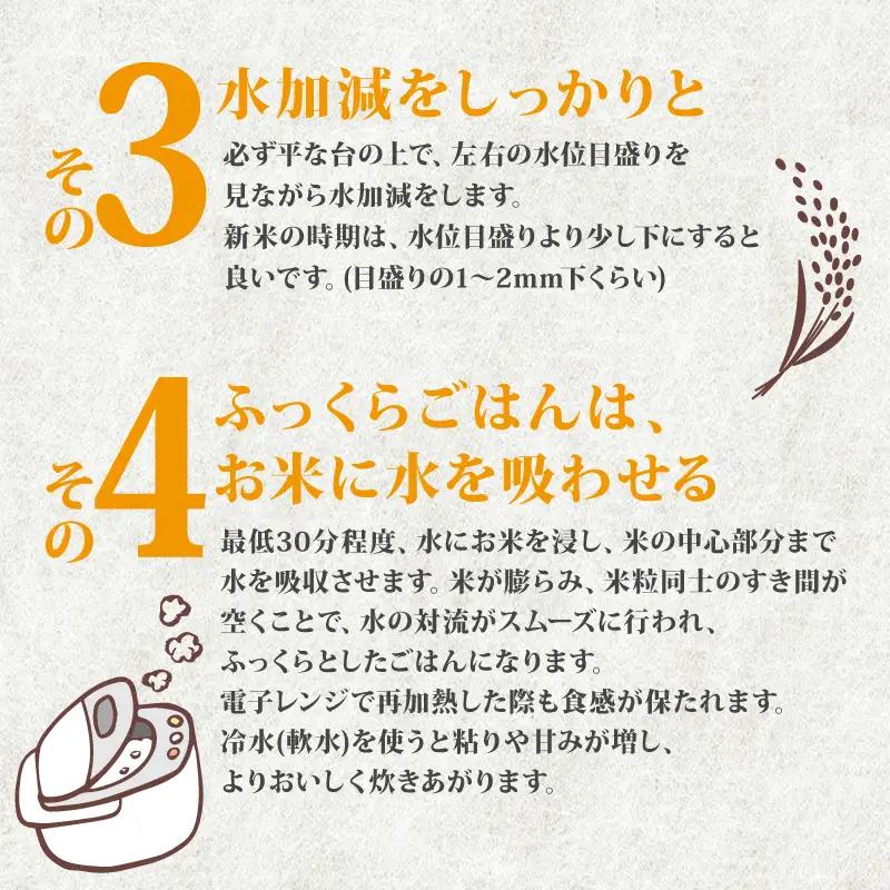 最短3日発送 新米 新潟県産 コシヒカリ 5kg 新米 令和8年産 こめ コメ 米 新潟 新潟県産 こしひかり 白米 こめ ごはん おにぎり お弁当 農家直送 産地直送 ふるさと納税 四代目 悠助 新